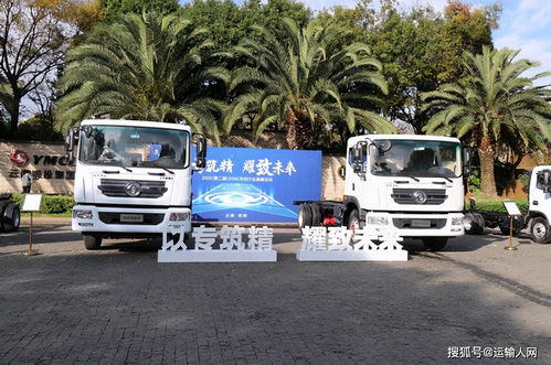 東風輕型車發布“專致”品牌，夯實專用車王者地位